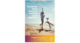 El interior de tu mascota también es tu mascota