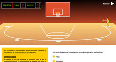 Basket