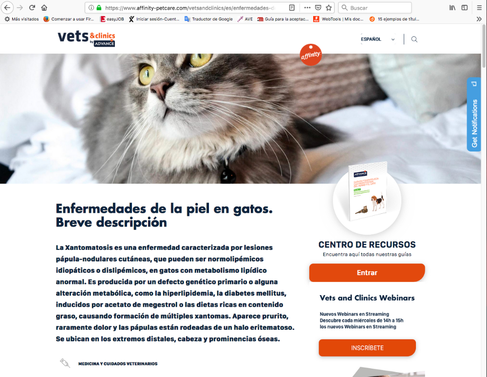 Blog Vets and Clinics by Advance - 2