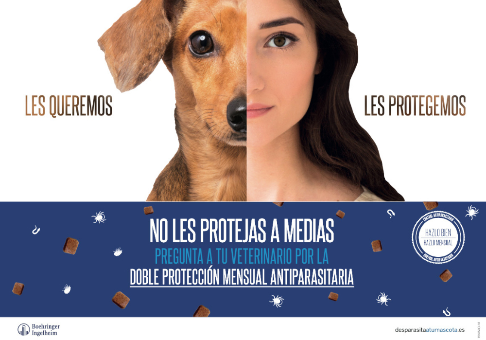 Les Queremos, Les Protegemos - 2