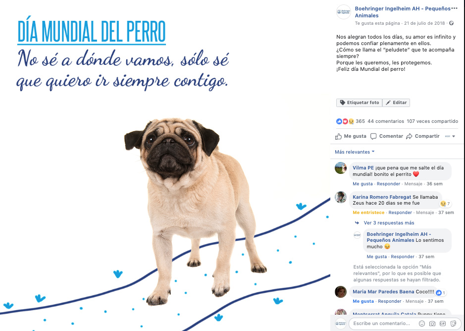 Les Queremos, Les Protegemos - 6