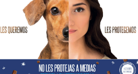 Les Queremos, Les Protegemos