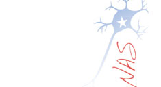 Neuronas