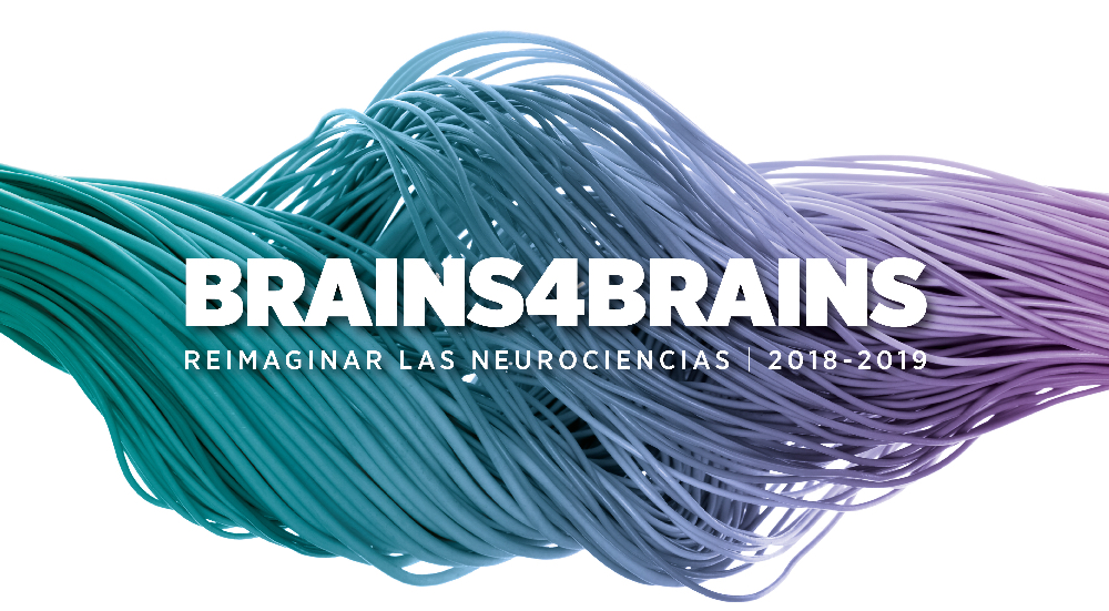 Brains4Brains - 2