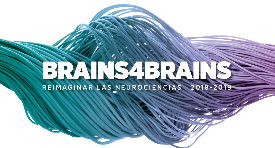 Brains4Brains