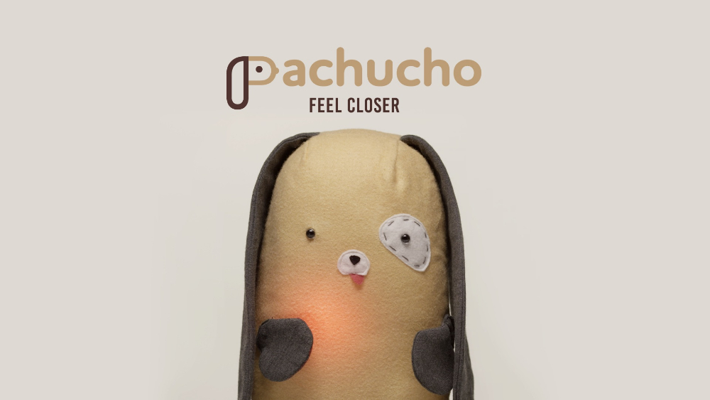 Pachucho - 2