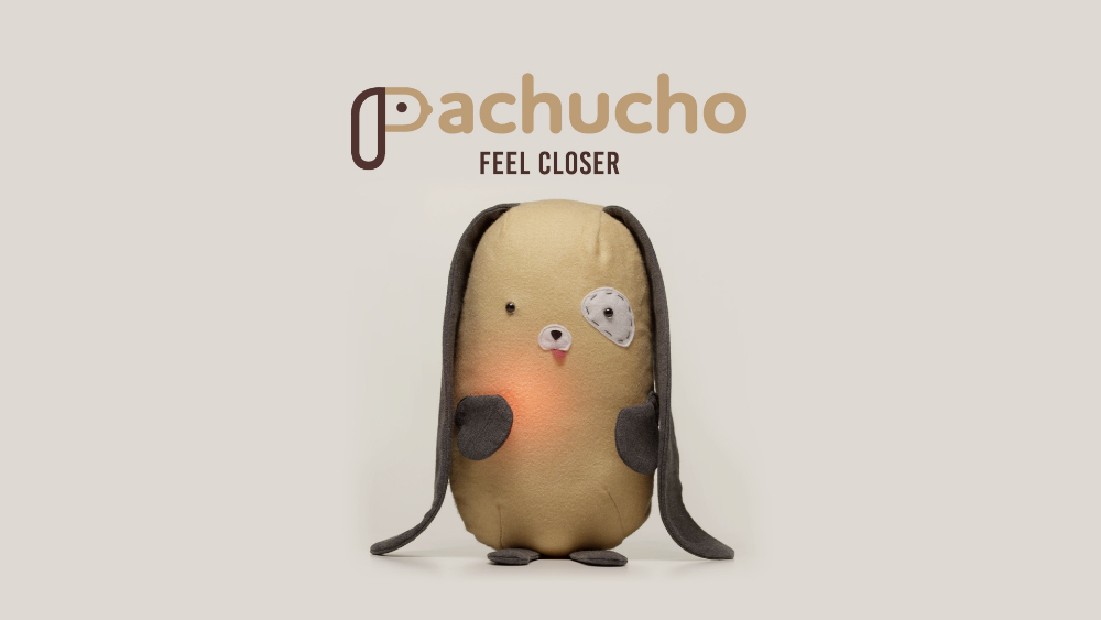 Pachucho - 3