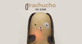 Pachucho