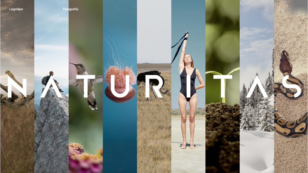 NATURITAS. NUEVA IDENTIDAD CORPORATIVA - 4