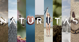 NATURITAS. NUEVA IDENTIDAD CORPORATIVA