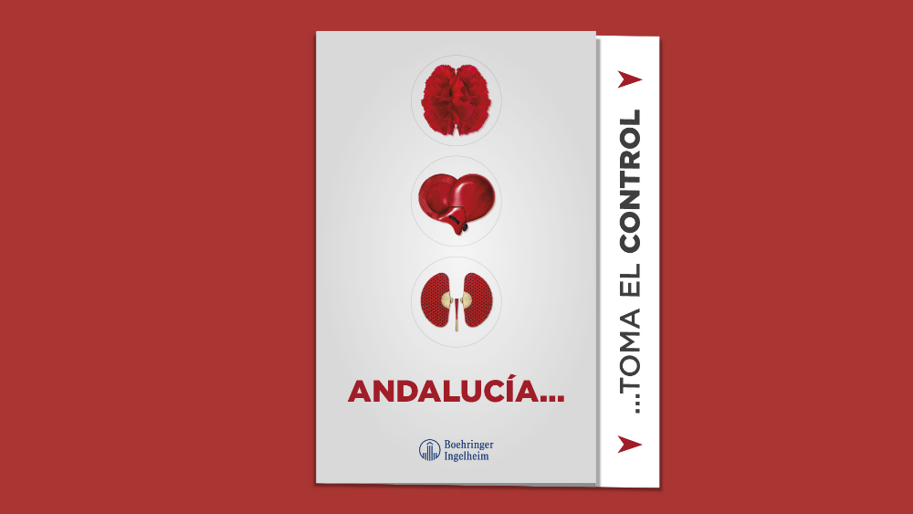 Andalucía toma el control - Micardis - 3