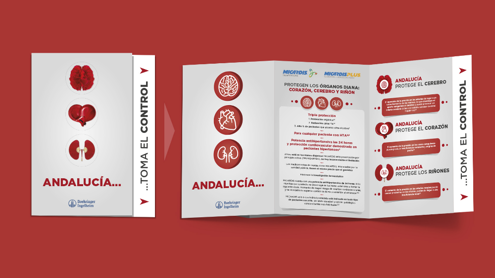 Andalucía toma el control - Micardis - 5