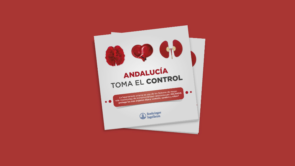 Andalucía toma el control - Micardis - 7