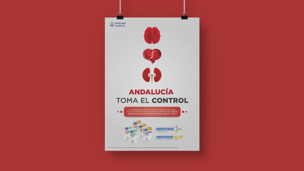 Andalucía toma el control - Micardis - 9