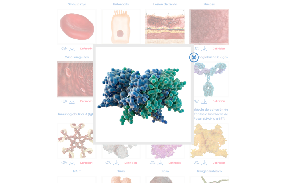 Inmunología con Lina. www.inmunologiaconlina.es - 6