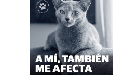 Fondo Social AniCura