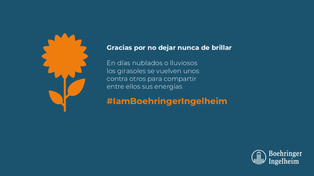 Girasoles - 5