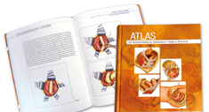 Atlas de incontinencia urinaria