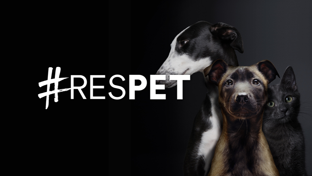 #RESPET - 2