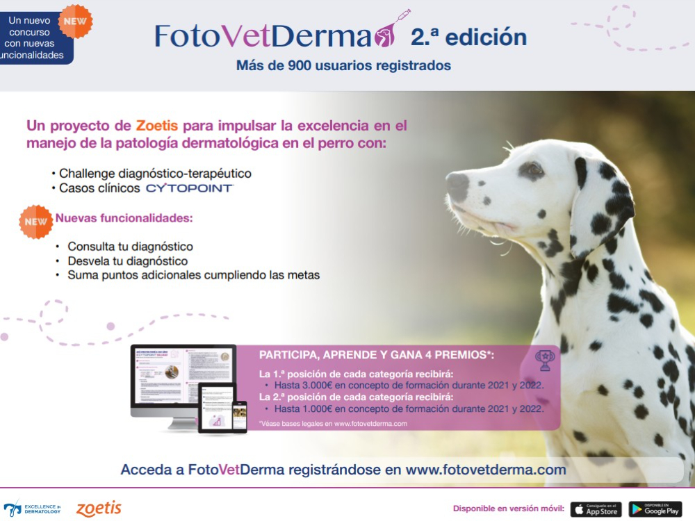 FotoVetDerma - 1