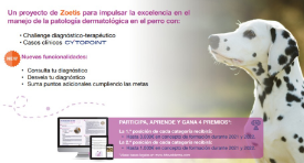 FotoVetDerma