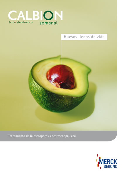 Hueso de aguacate - 1