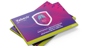 Material de promoción impreso Xebevir