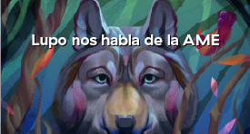 LUPO NOS HABLA DE LA AME - 3