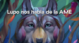 LUPO NOS HABLA DE LA AME