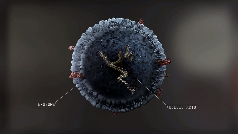 Prediction Biosciences: campaña integral. - 10