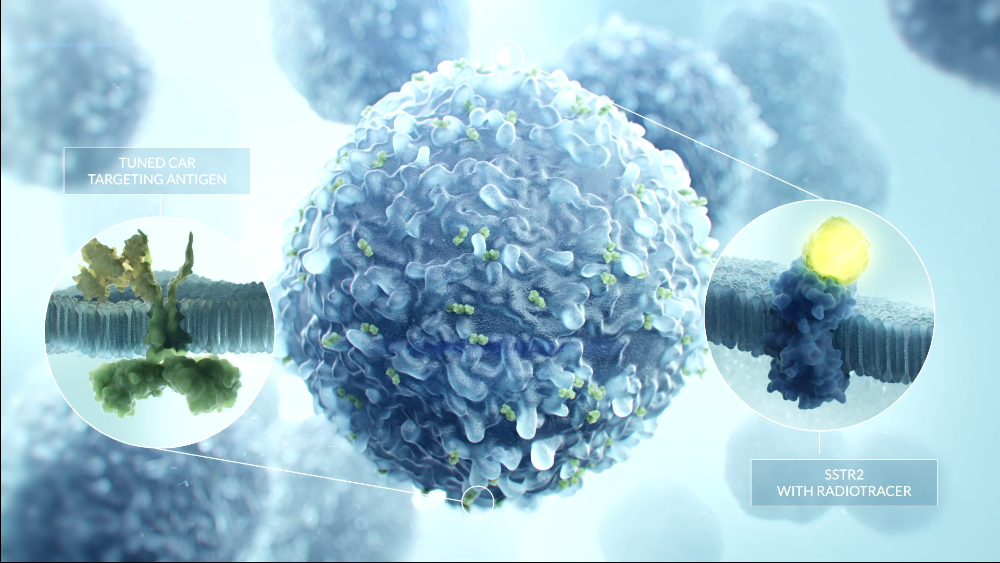 AffyImmune: CART cells video - 2