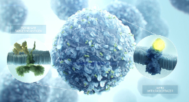 AffyImmune: CART cells video
