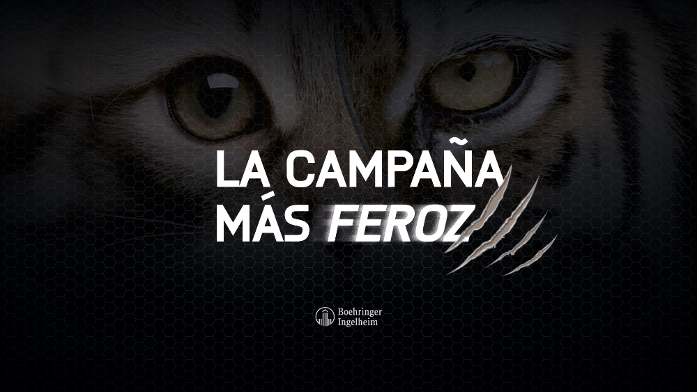 Lanzamiento Nexgard® COMBO - 2