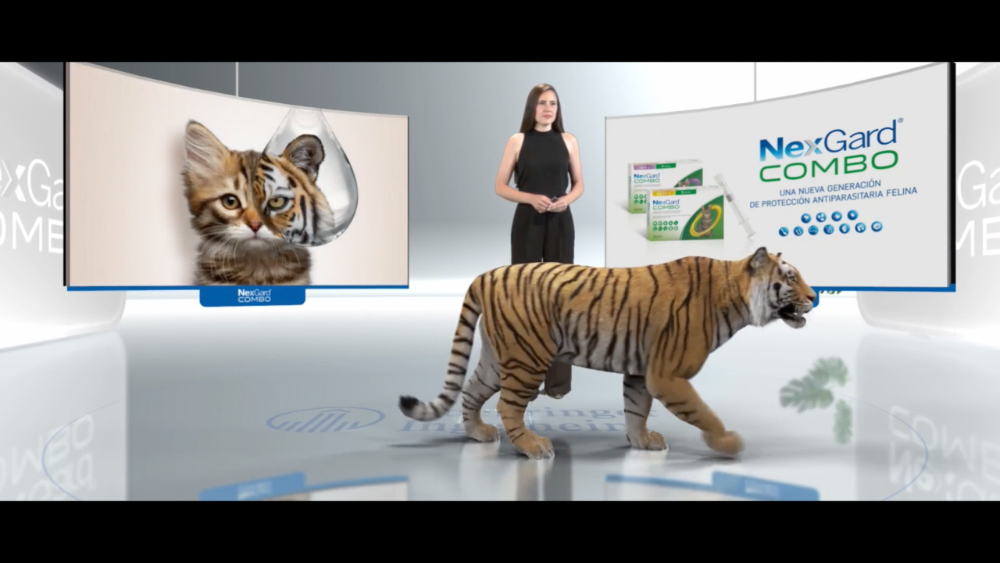 Lanzamiento Nexgard® COMBO - 4