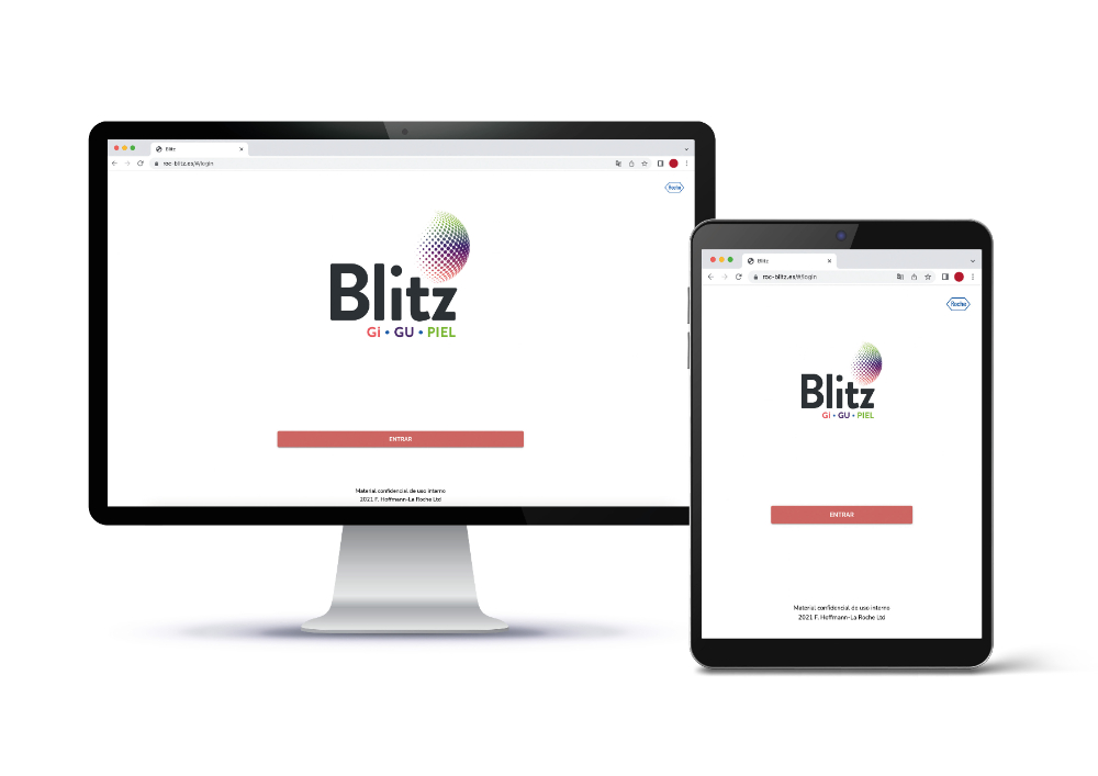 BLITZ. PLATAFORMA INTERNA DE FORMACIÓN/INFORMACIÓN - 2