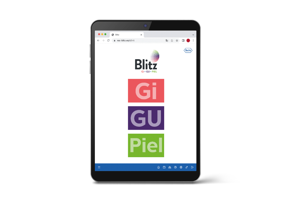 BLITZ. PLATAFORMA INTERNA DE FORMACIÓN/INFORMACIÓN - 3