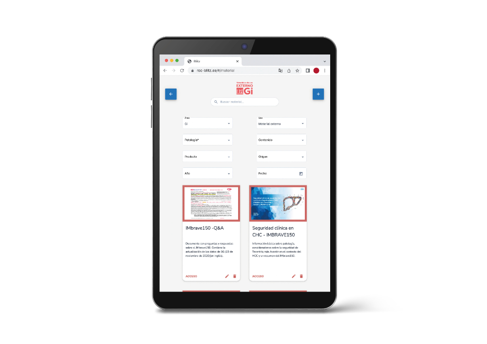 BLITZ. PLATAFORMA INTERNA DE FORMACIÓN/INFORMACIÓN - 6