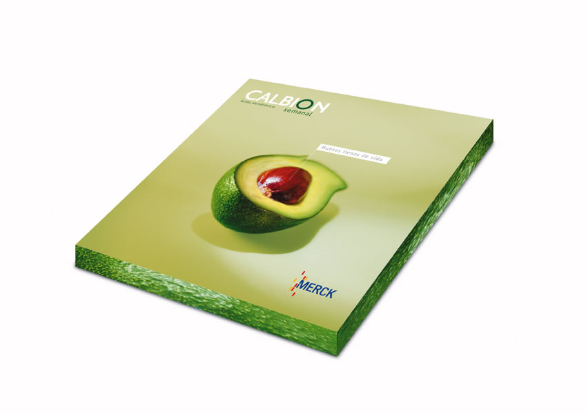 Hueso de aguacate - 1