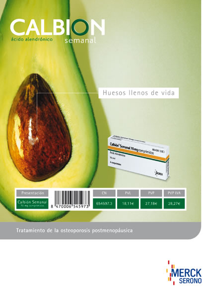 Hueso de aguacate - 4