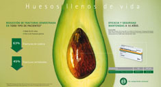Hueso de aguacate - 7