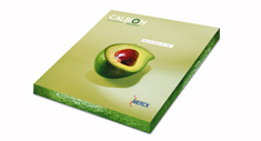 Hueso de aguacate