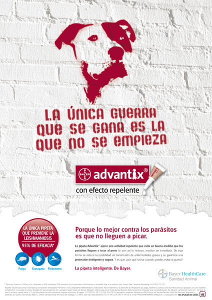 Verdades - 1