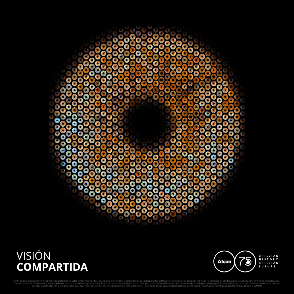 Visión Compartida - 9
