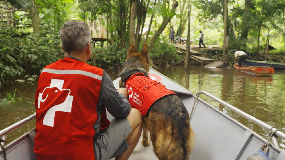 Dogs Without Borders - 3