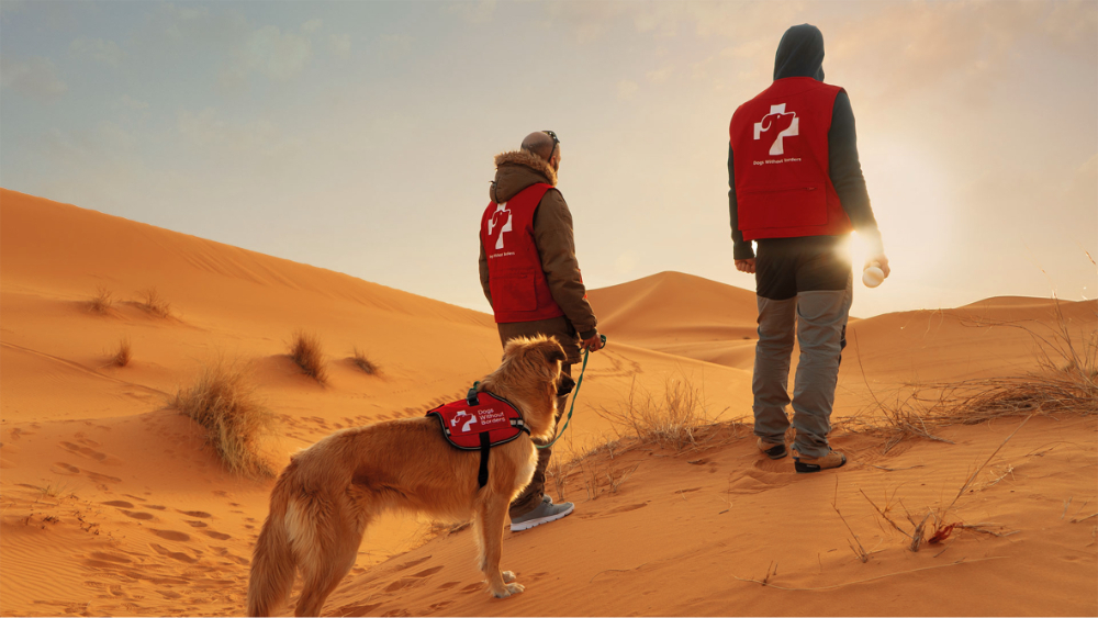 Dogs Without Borders - 4