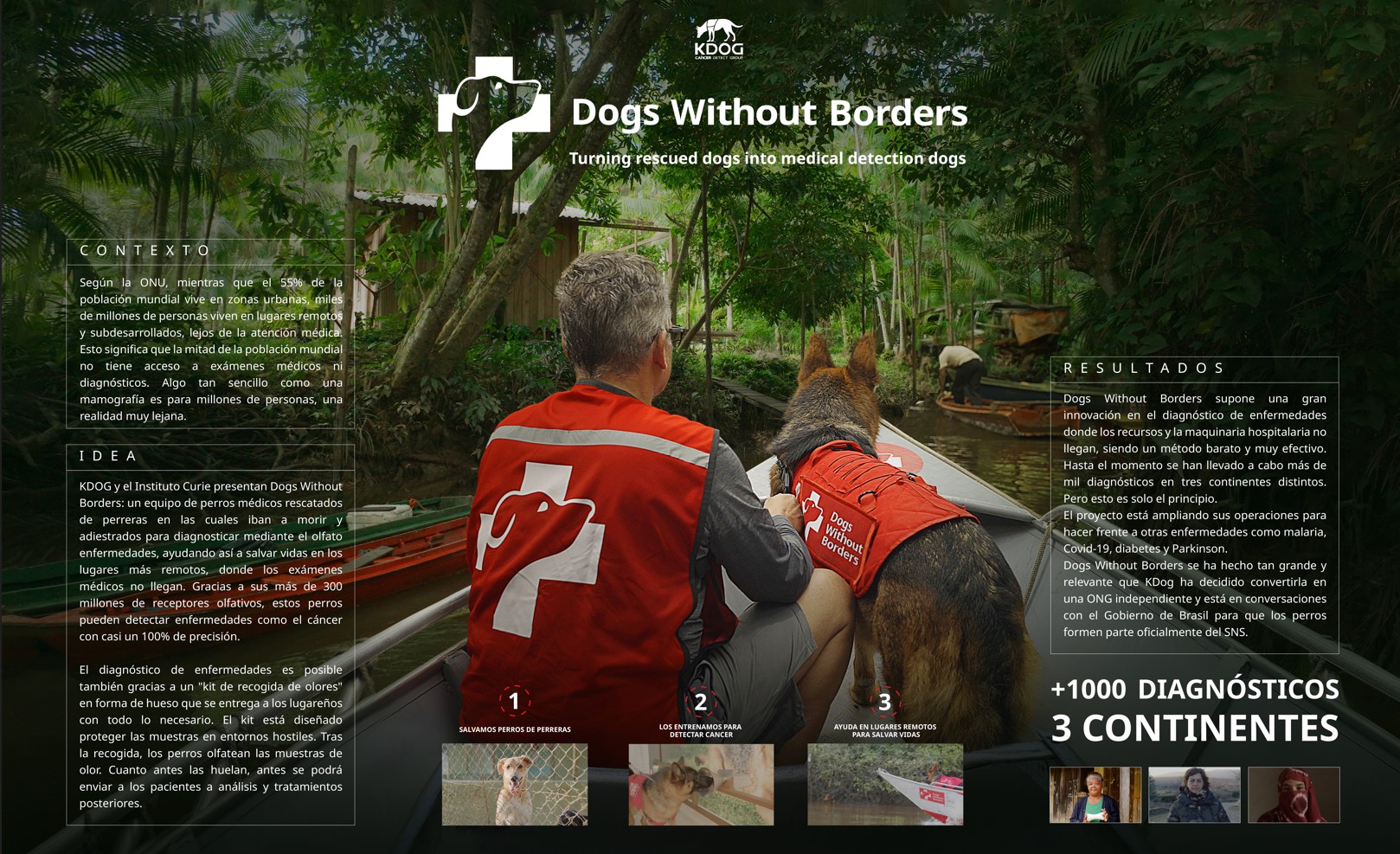 Dogs Without Borders - 2