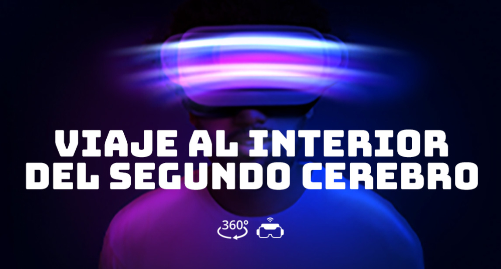 Viaje al interior del segundo cerebro - 3