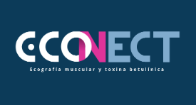 ECONECT - Ecografía muscular