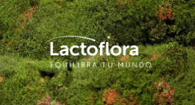 Equilibra tu mundo