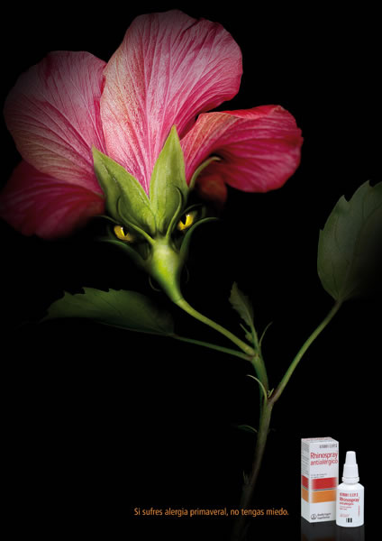 Flor - 1